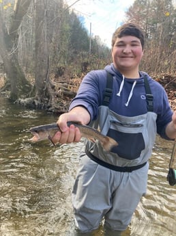 Fishing in Leicester, North Carolina