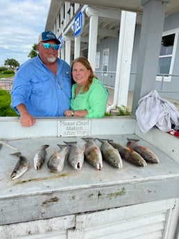 Redfish, Speckled Trout / Spotted Seatrout fishing in Galveston, Texas