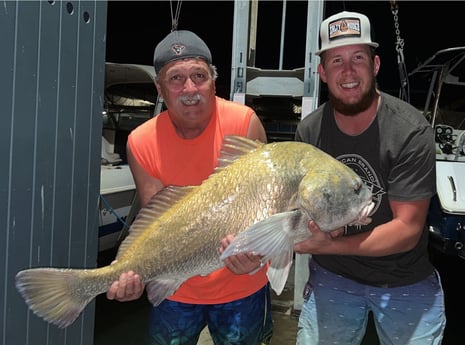 Black Drum Fishing in Galveston, Texas