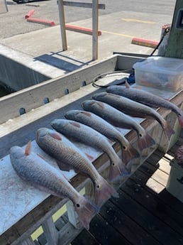 Redfish fishing in Port Aransas, Texas