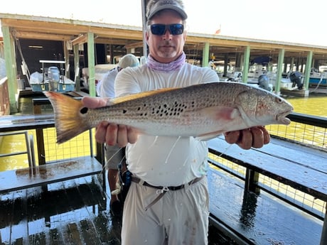 Speckled Trout / Spotted Seatrout fishing in Galveston, Texas