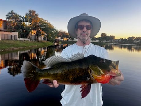 Fishing in Miami, Florida