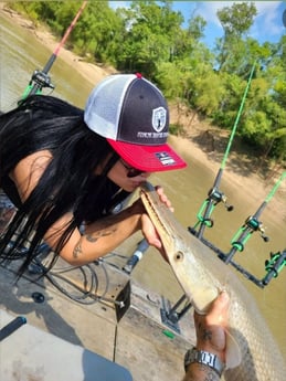 Alligator Gar fishing in Dallas, Texas