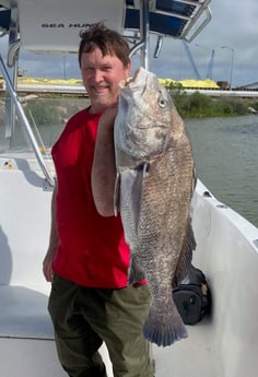 Black Drum fishing in Galveston, Texas