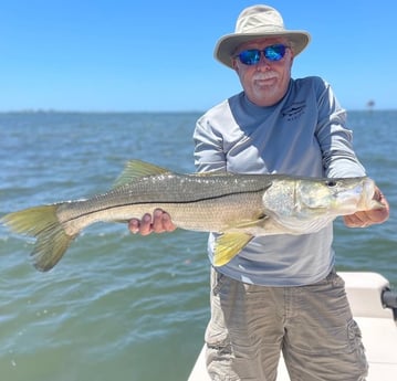 Speckled Trout / Spotted Seatrout fishing in Sarasota, Florida