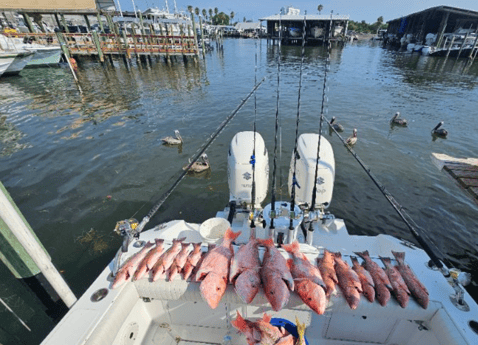 Fishing in St. Petersburg, Florida