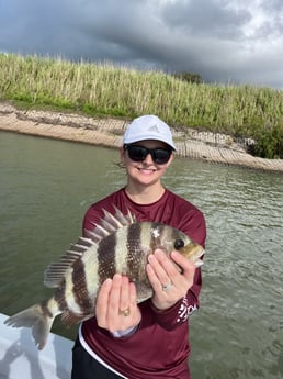 Sheepshead fishing in Galveston, Texas