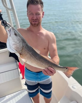 Redfish Fishing in Sarasota, Florida