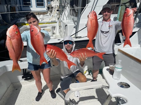 Red Snapper Fishing in Islamorada, Florida