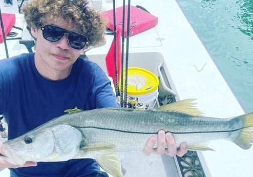 Snook Fishing in Sarasota, Florida