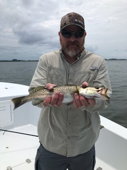 Speckled Trout Fishing in Tampa, Florida