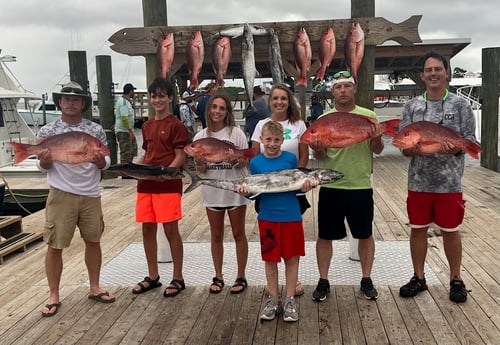 Kingfish, Red Snapper Fishing in Orange Beach, Alabama