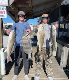 Black Drum, Redfish, Speckled Trout / Spotted Seatrout Fishing in Galveston, Texas