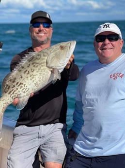 Gag Grouper fishing in Clearwater, Florida