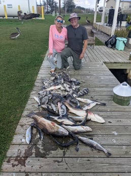 Black Drum, Redfish, Sheepshead, Speckled Trout / Spotted Seatrout Fishing in Sulphur, Louisiana