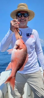 Red Snapper fishing in Panama City, Florida