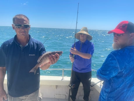 Cubera Snapper fishing in Galveston, Texas