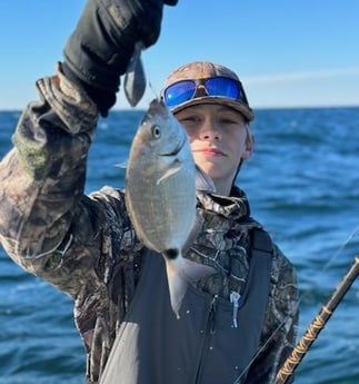 Scup / Porgy Fishing in Jacksonville, Florida