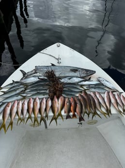 Fishing in Fort Lauderdale, Florida