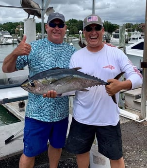 Blackfin Tuna fishing in Clearwater, Florida