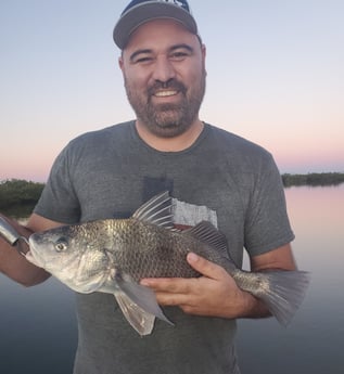 Black Drum fishing in New Smyrna Beach, Florida