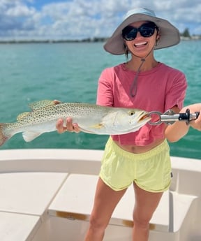 Speckled Trout / Spotted Seatrout fishing in Sarasota, Florida