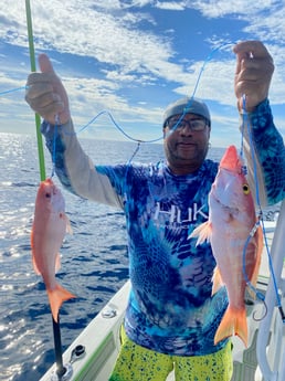 Red Snapper fishing in Key Biscayne, Florida