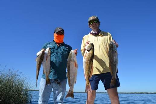 Redfish fishing in San Antonio, Texas