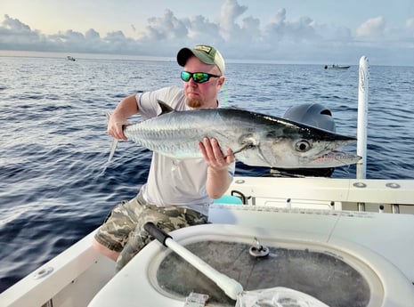 King Mackerel / Kingfish fishing in Marathon, Florida