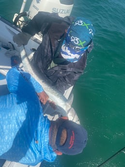 Barracuda fishing in Naples, Florida