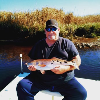 Speckled Trout / Spotted Seatrout fishing in Jacksonville, Florida