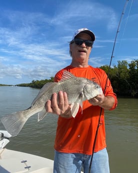 Snook fishing in Key Largo, Florida