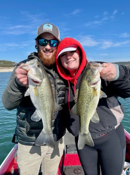 Largemouth Bass fishing in Austin, Texas