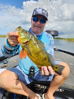 Fishing in Fort Lauderdale, Florida