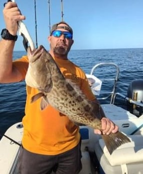 Gag Grouper Fishing in Clearwater, Florida