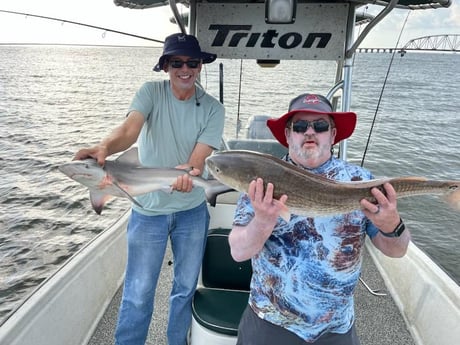 Blacktip Shark, Redfish Fishing in New Orleans, Louisiana