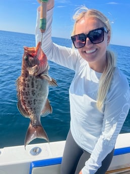 Scamp Grouper Fishing in Destin, Florida