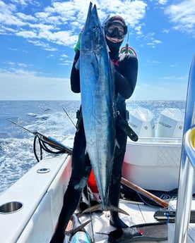 Wahoo Fishing in Islamorada, Florida