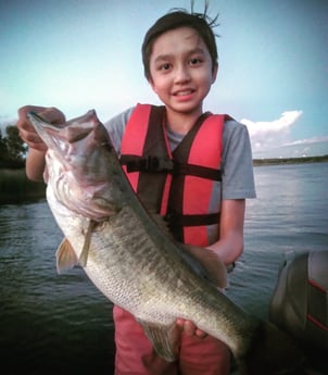 Largemouth Bass fishing in Austin, Texas