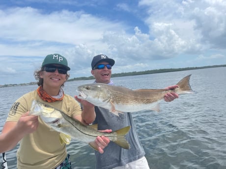 Redfish, Snook fishing in Clearwater, Florida