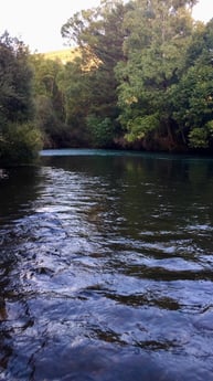 Fishing in Senegüé, Aragón