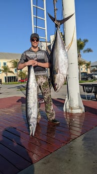 Yellowfin Tuna Fishing in Venice, Louisiana