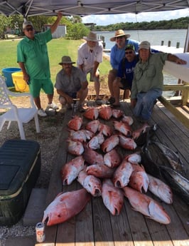 King Mackerel / Kingfish, Red Snapper fishing in Matagorda, Texas