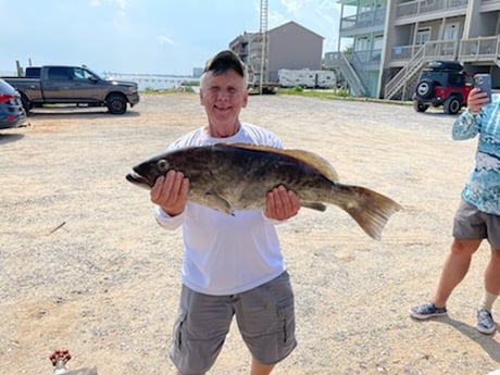 Black Grouper fishing in Pensacola, Florida