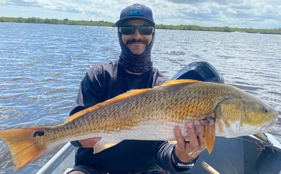 Redfish fishing in New Smyrna Beach, Florida