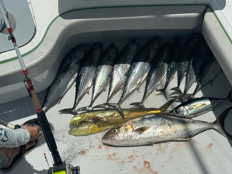 Fishing in Fort Lauderdale, Florida