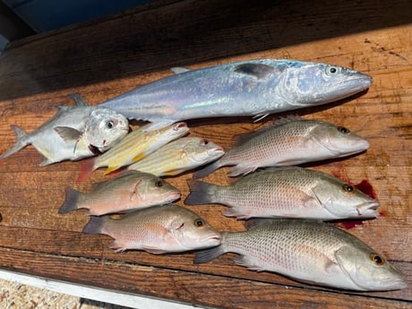 Bonefish fishing in Tavernier, Florida