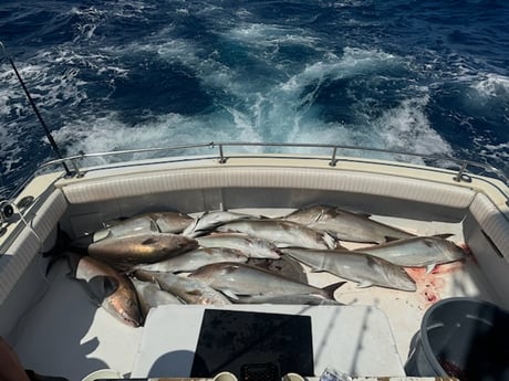 Fishing in Panama City Beach, Florida