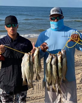 Speckled Trout / Spotted Seatrout fishing in Galveston, Texas