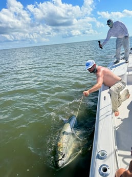 Tarpon Fishing in Galveston, Texas